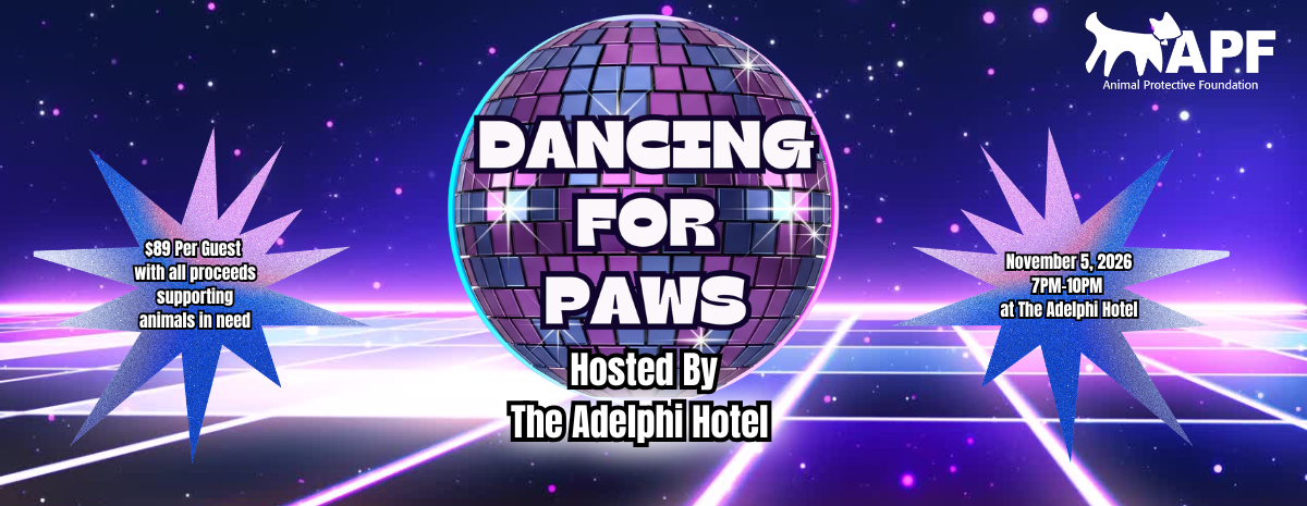 Dancing For Paws